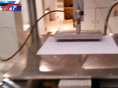 全自動32頭灌膠